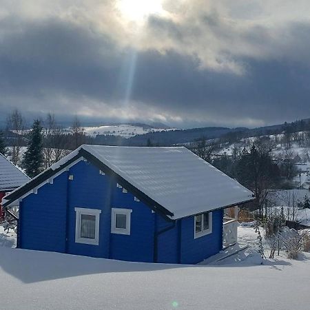 Domki Pod Sudeckim Niebem Villa Duszniki Zdrój Dış mekan fotoğraf