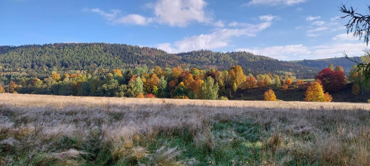 Domki Pod Sudeckim Niebem Villa Duszniki Zdrój Dış mekan fotoğraf