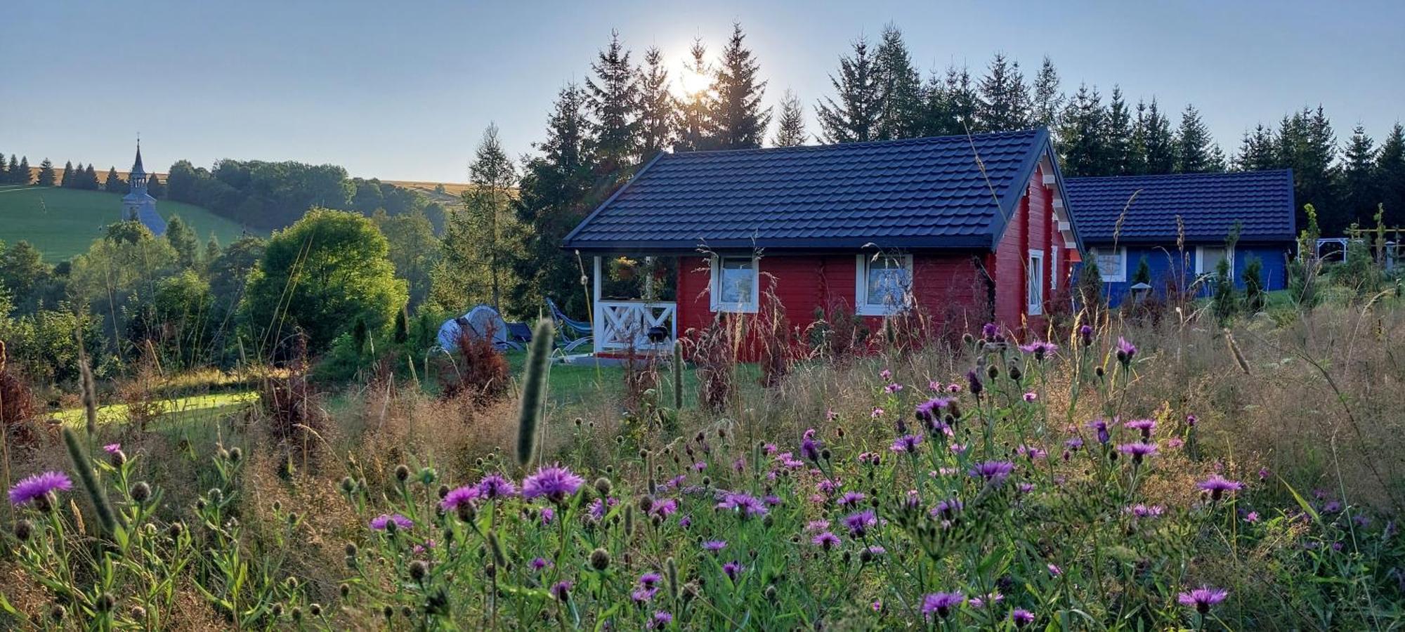 Domki Pod Sudeckim Niebem Villa Duszniki Zdrój Dış mekan fotoğraf