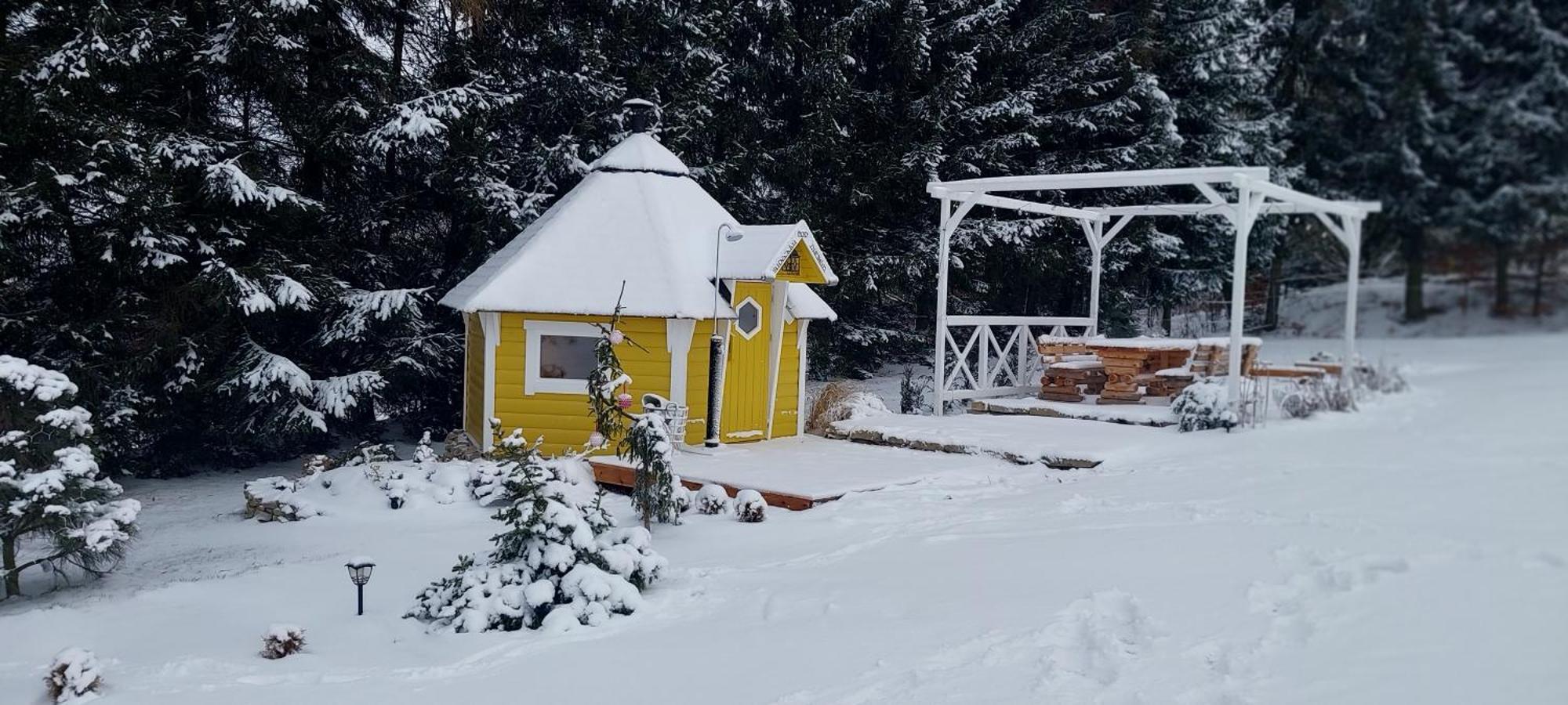 Domki Pod Sudeckim Niebem Villa Duszniki Zdrój Dış mekan fotoğraf